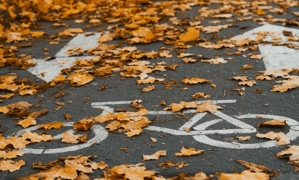 Bicycle path covered by fallen leaves.